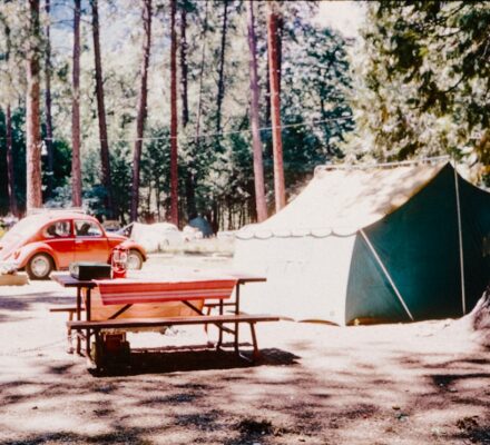 Het gezamenlijke vermogen van Louisa en Rowan in 2026