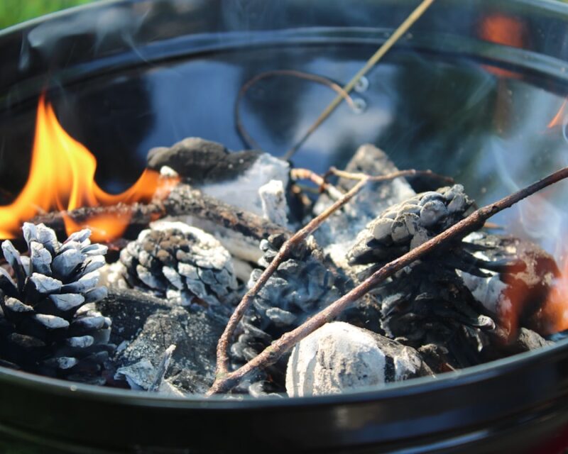 Barbecue aansteken zonder aanmaakblokjes met zes natuurlijke methoden
