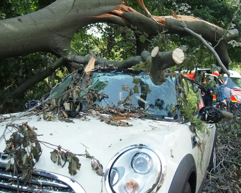 Tak op je auto door de storm: welke autoverzekering de schade betaalt