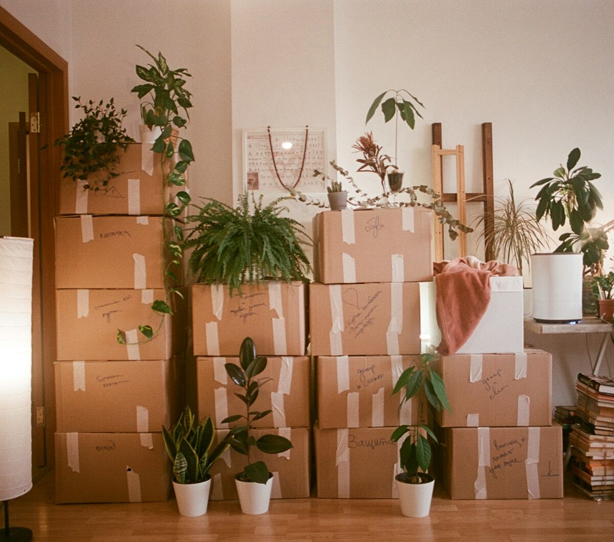 Lege woonkamer met een bank in plastic en verhuisdozen op een houten vloer